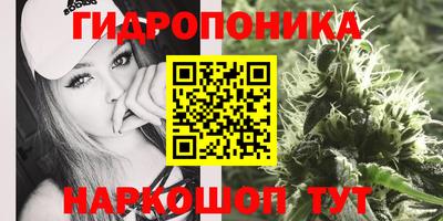 трава Нальчик