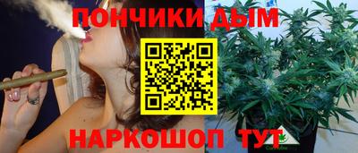 шишки Нарткала