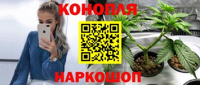 СК Наро-Фоминск