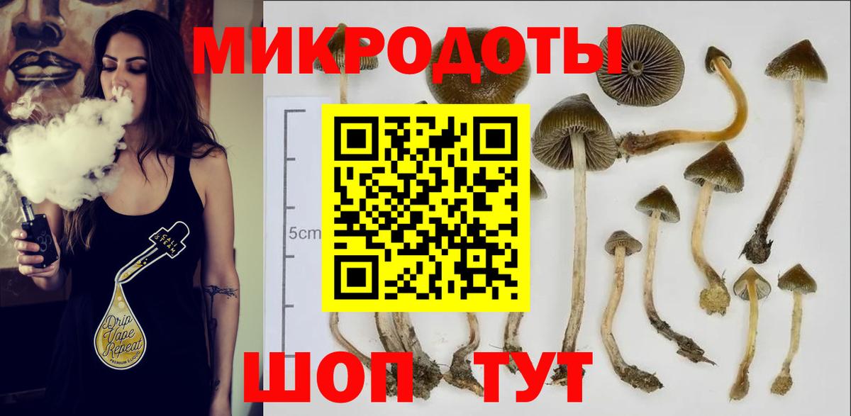 Псилоцибиновые грибы Magic Shrooms Пенза